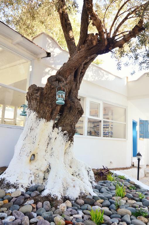 Misket Hotel Bodrum 규무슬럭 외부 사진