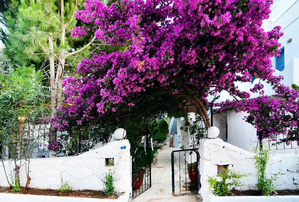 Misket Hotel Bodrum 규무슬럭 외부 사진